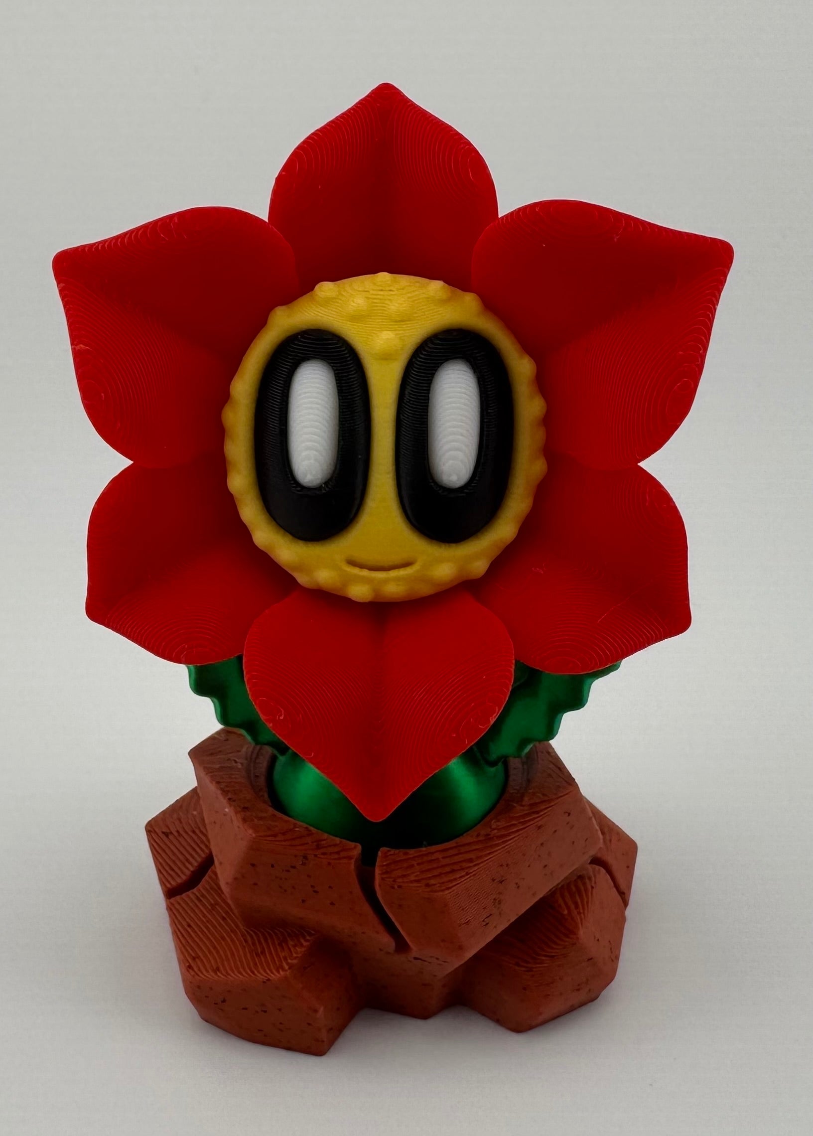 Blob Plant/Flower Desert Pot