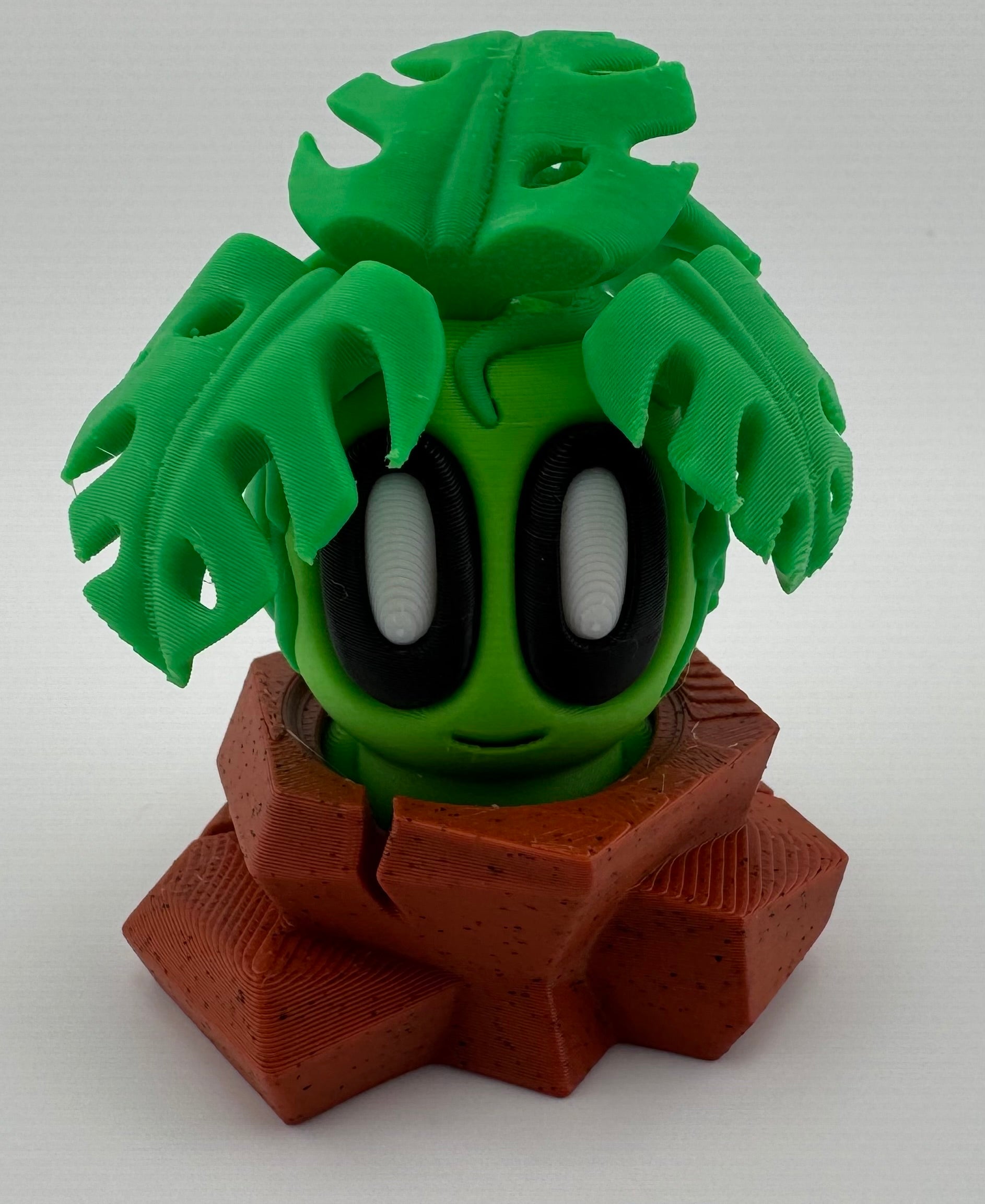 Blob Plant/Flower Desert Pot