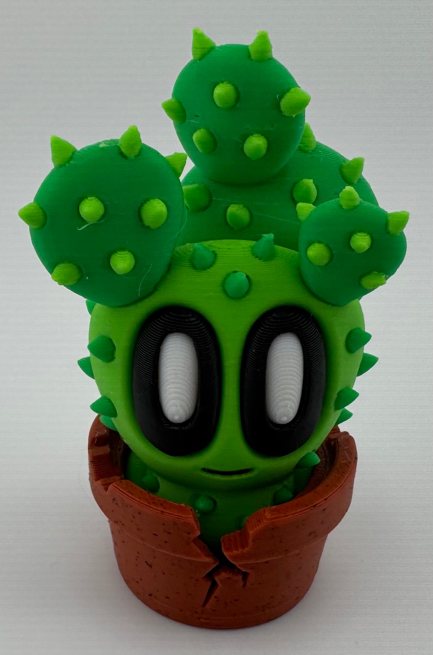 Blob Plant/Flower Cracked Pot