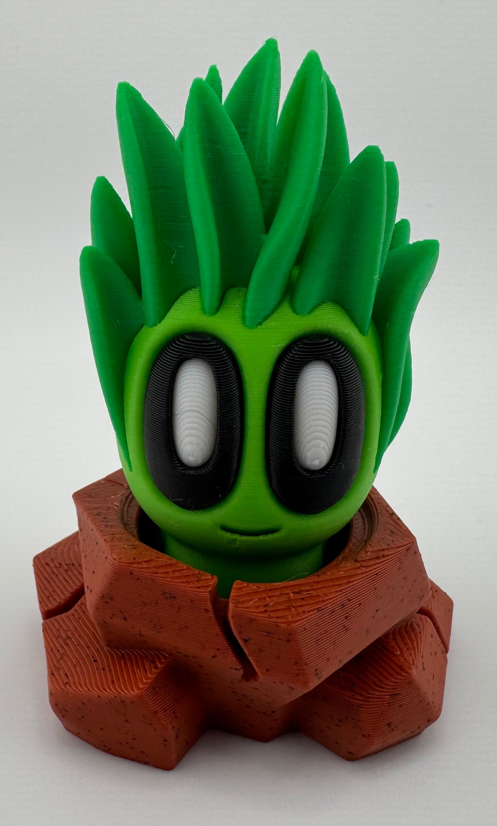 Blob Plant/Flower Desert Pot