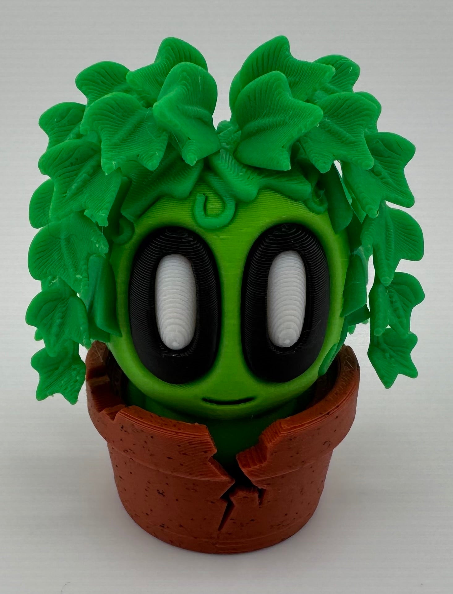 Blob Plant/Flower Cracked Pot