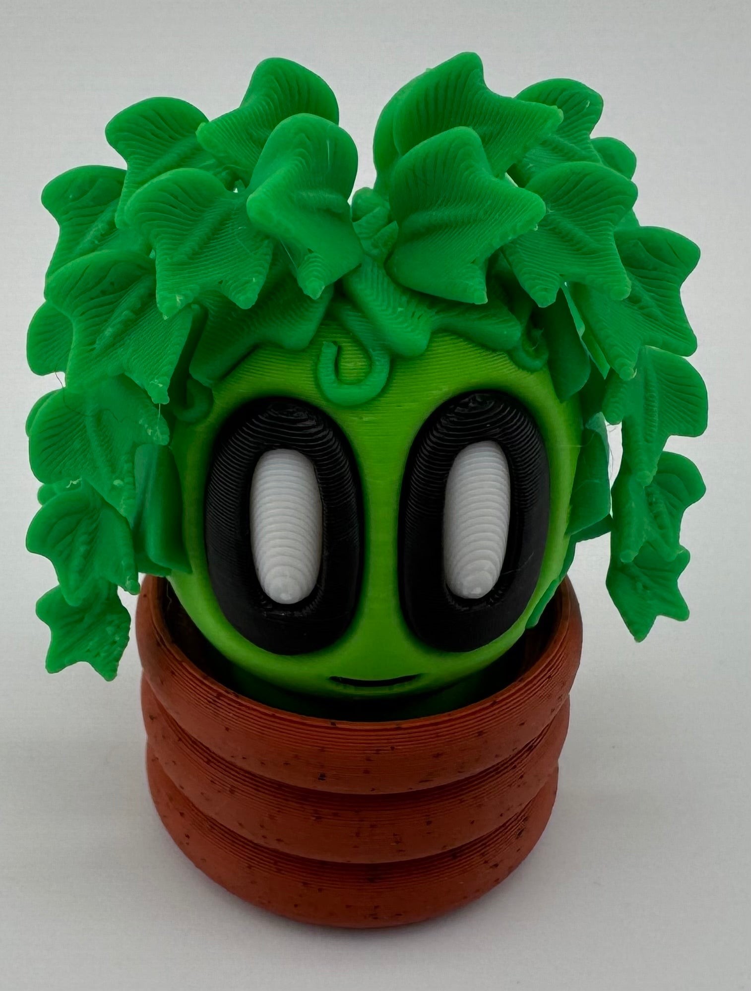 Blob Plant/Flower Modern Pot