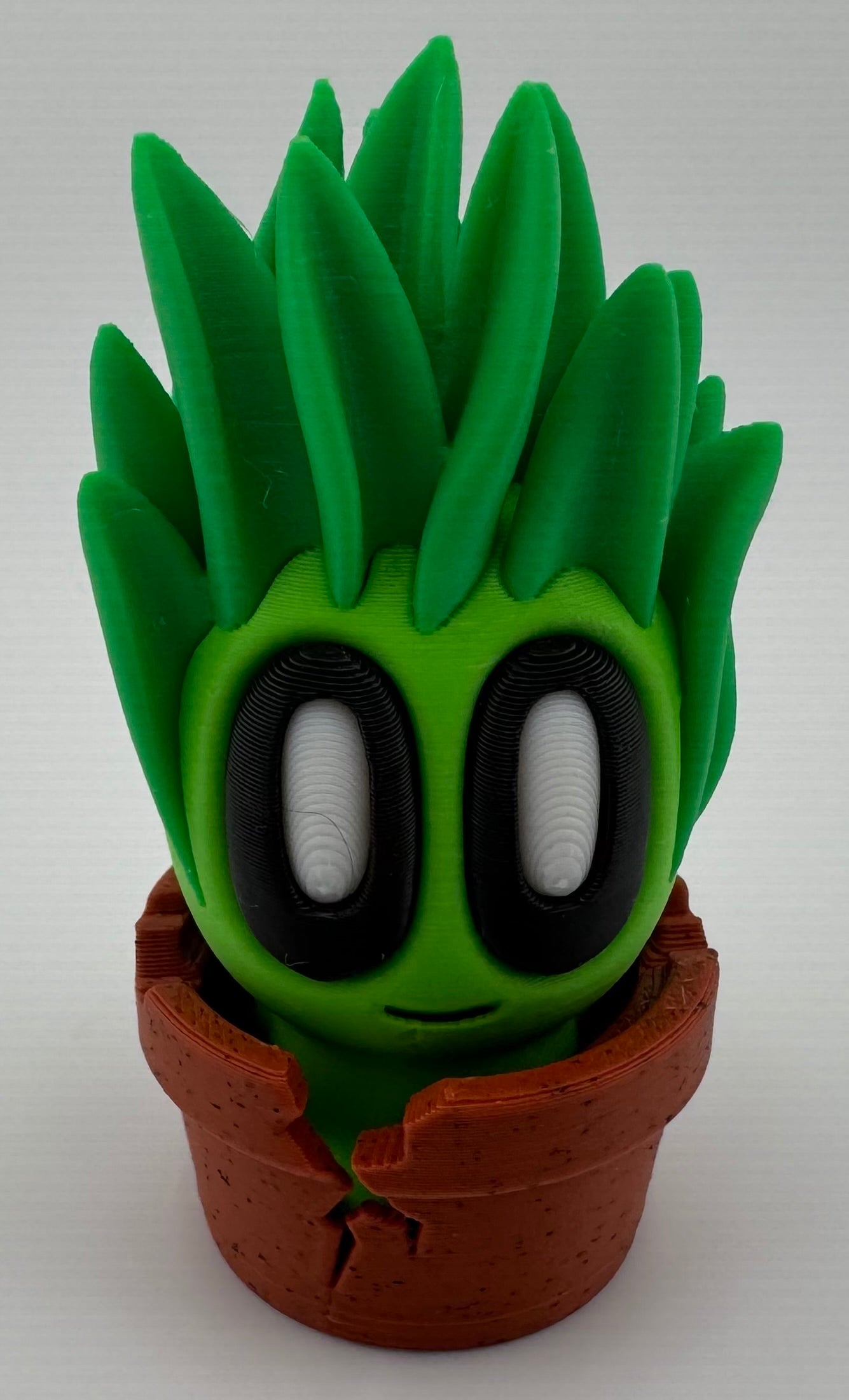 Blob Plant/Flower Cracked Pot