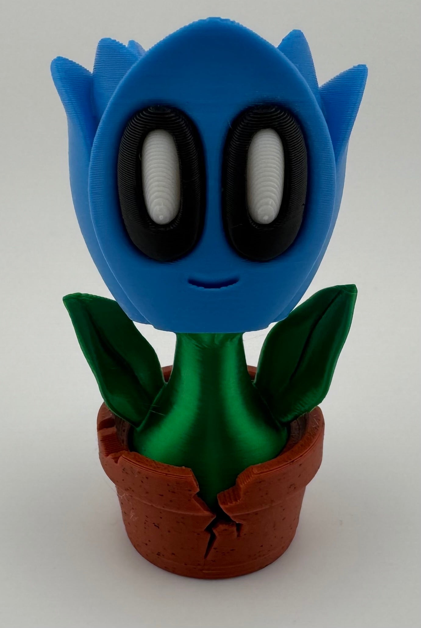 Blob Plant/Flower Cracked Pot