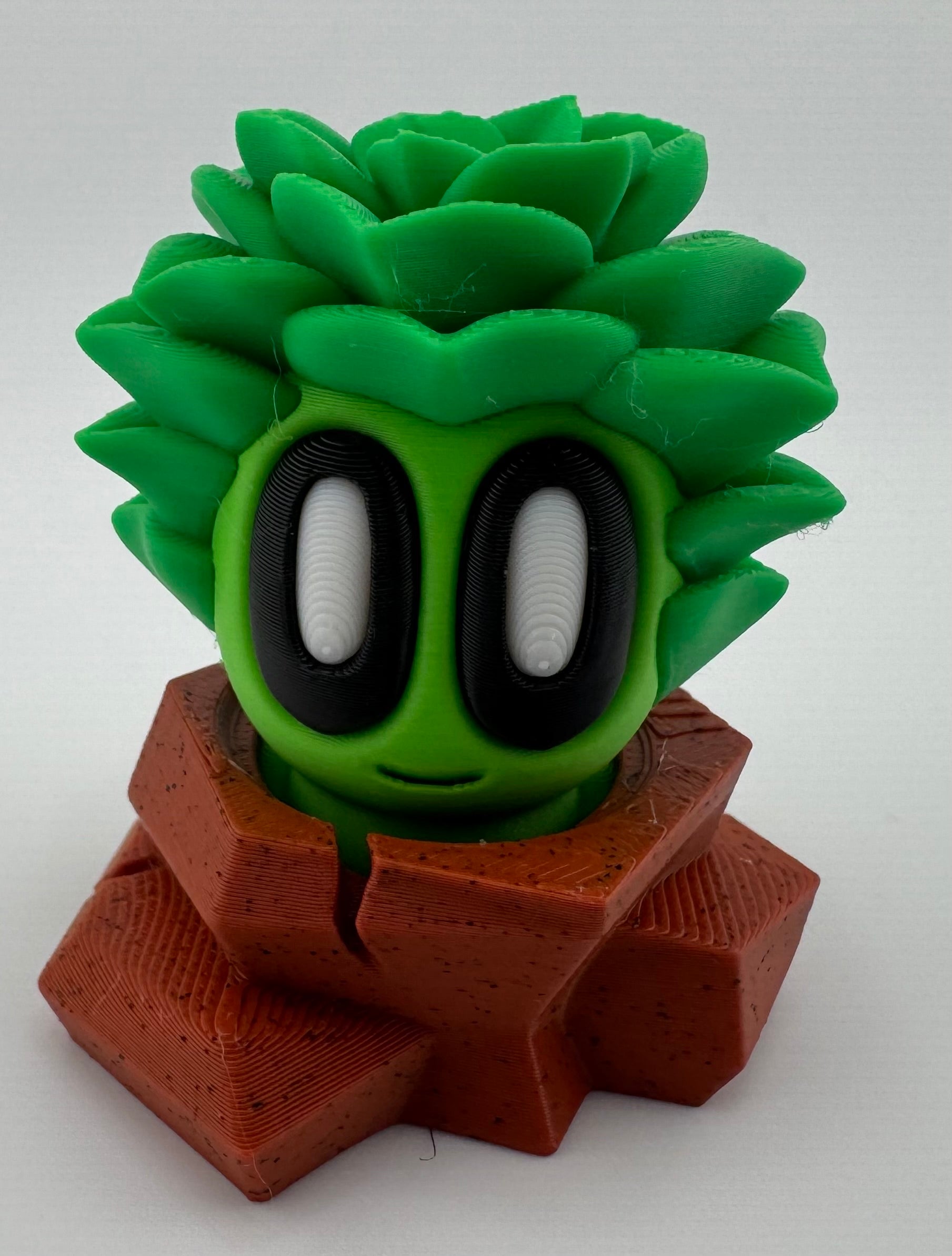 Blob Plant/Flower Desert Pot