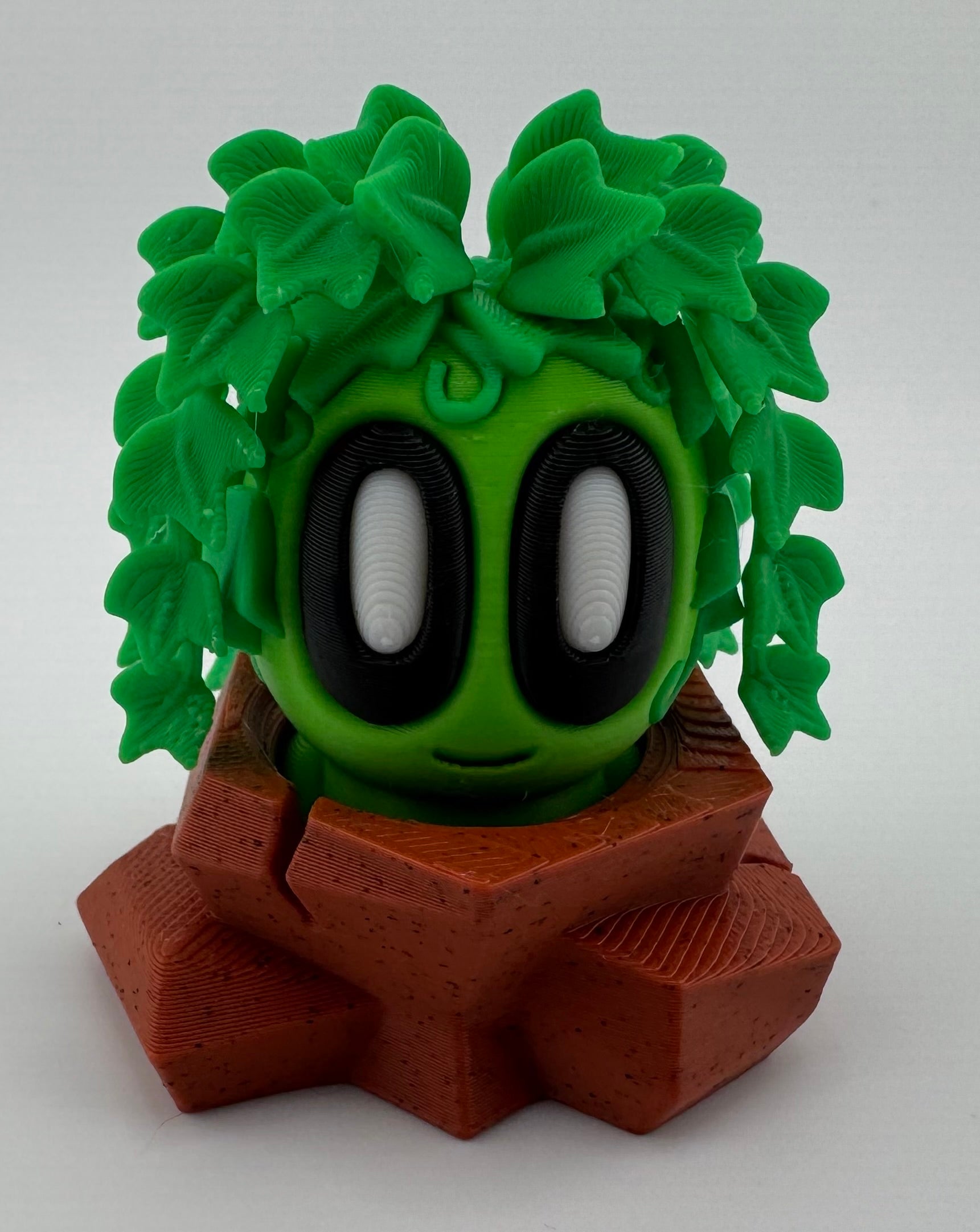 Blob Plant/Flower Desert Pot