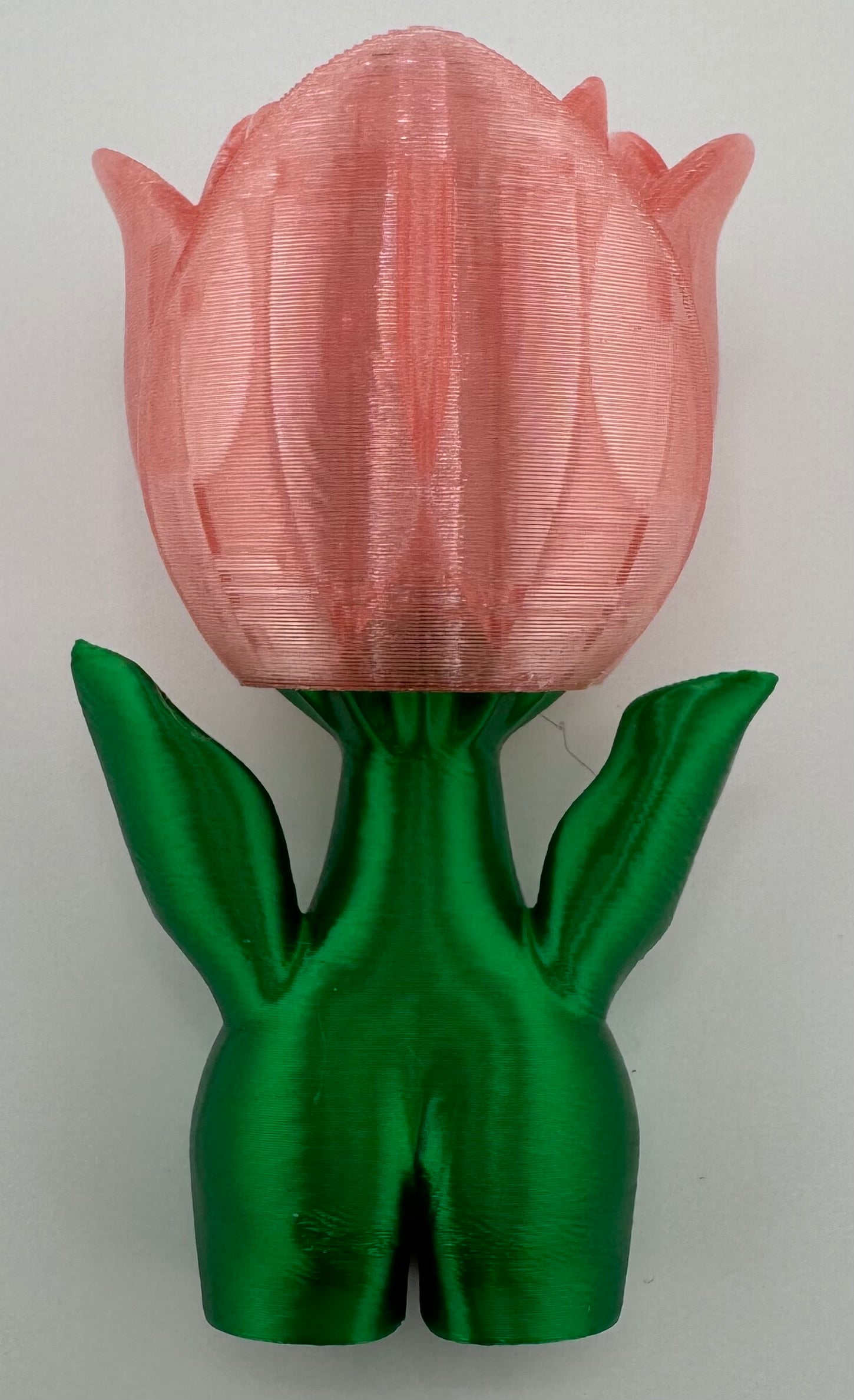 Blob Flowers Tulip (Translucent Pink)