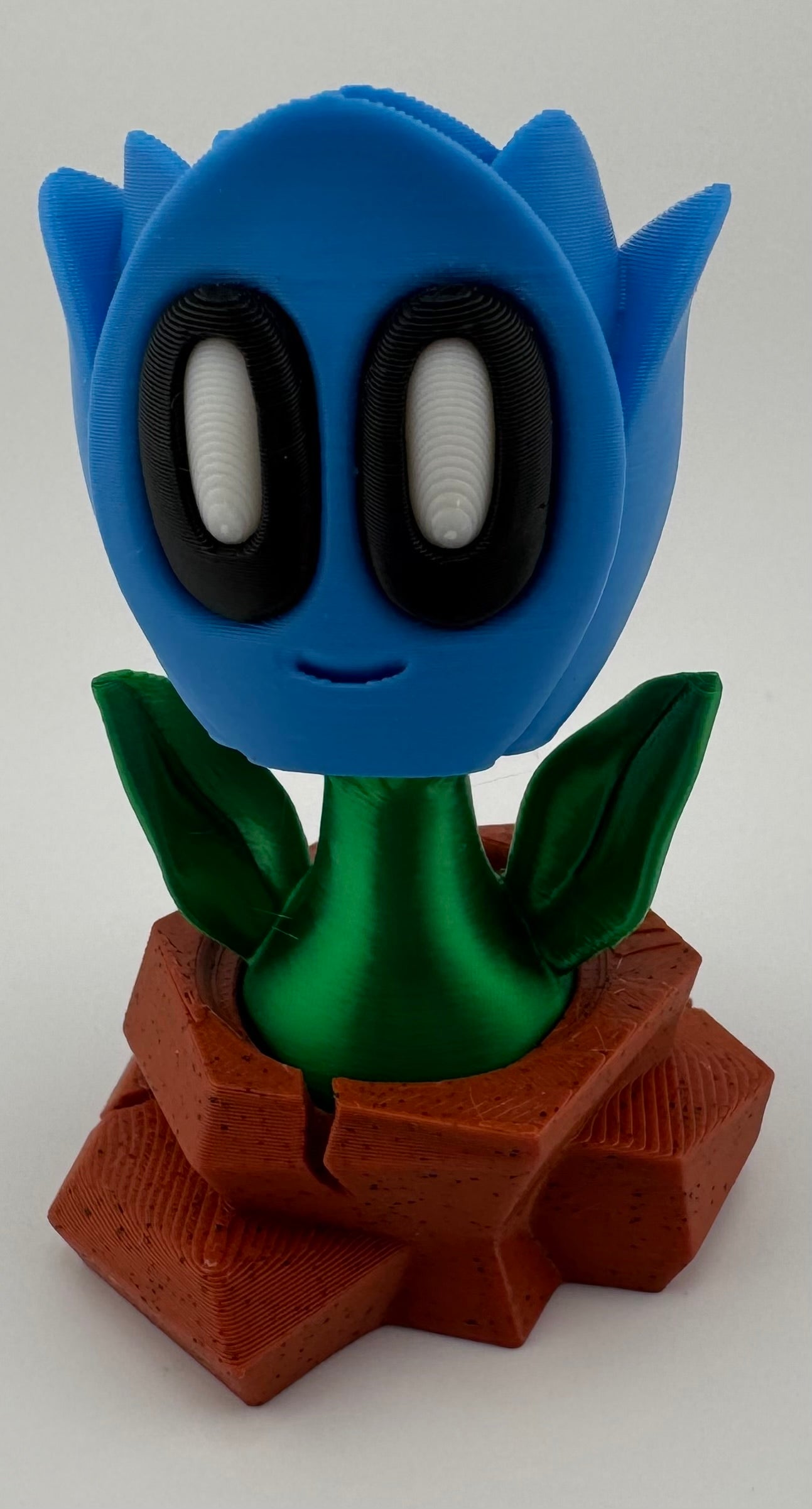 Blob Plant/Flower Desert Pot