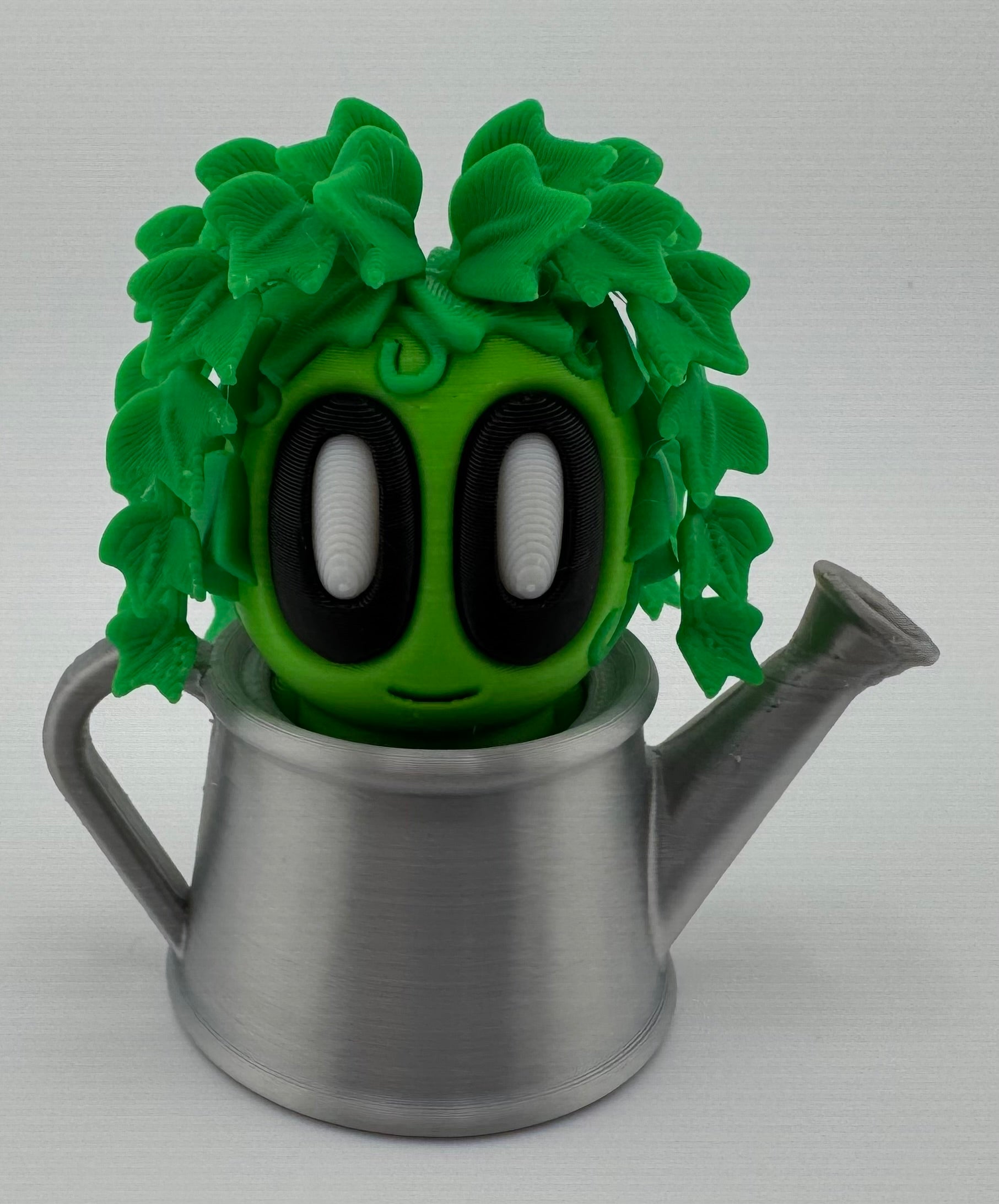 Blob Plant/Flower Watering Can