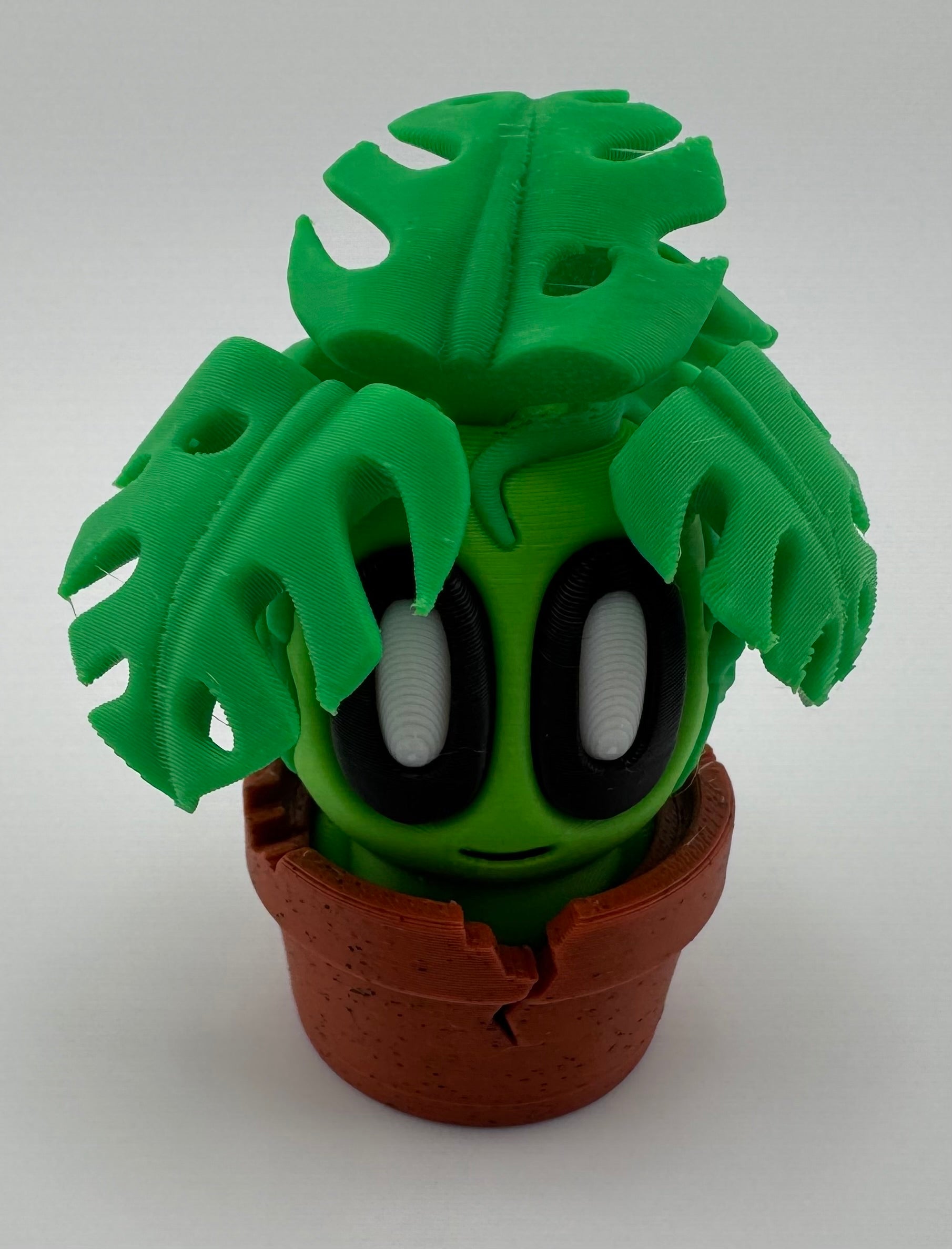 Blob Plant/Flower Cracked Pot