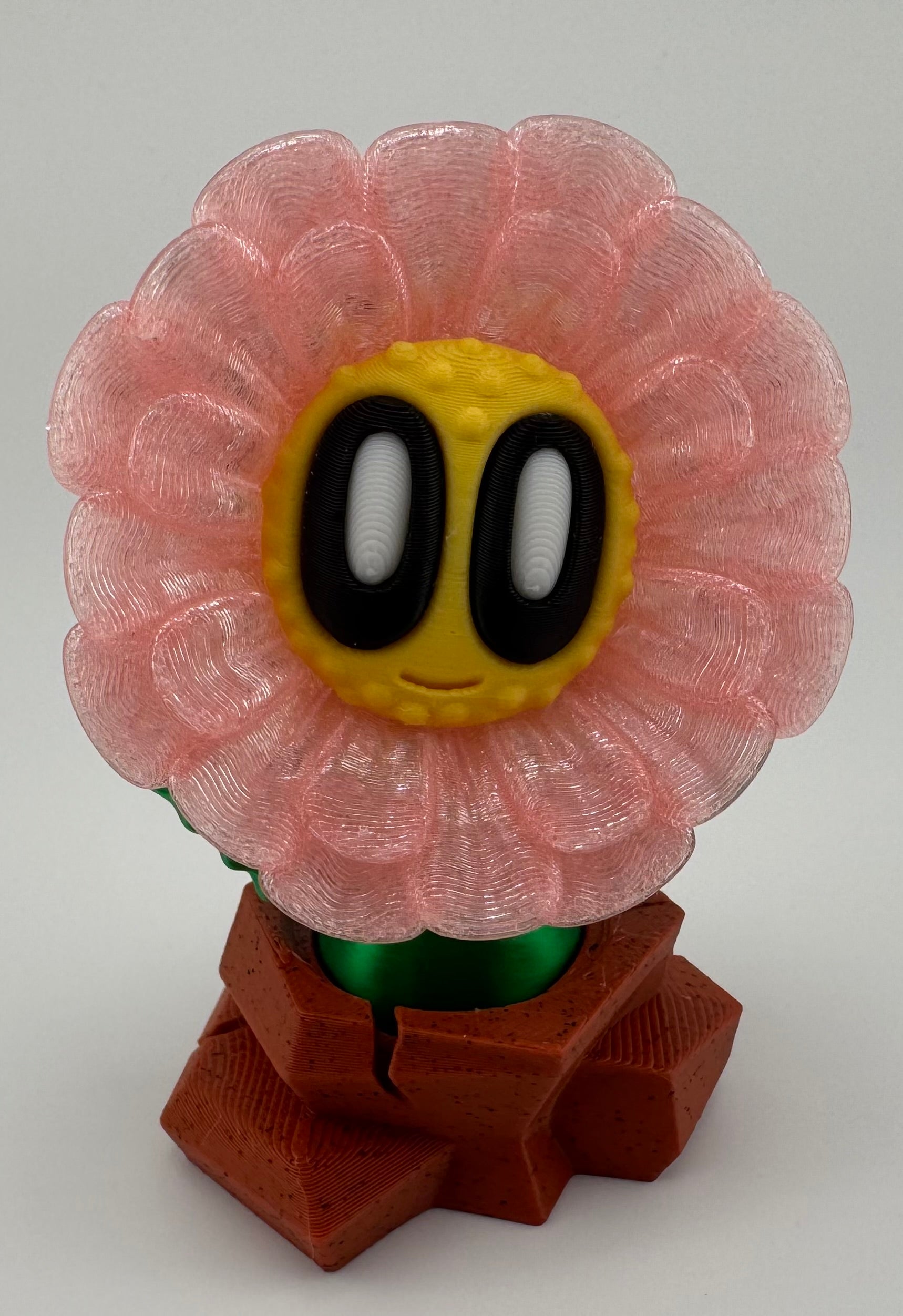 Blob Plant/Flower Desert Pot