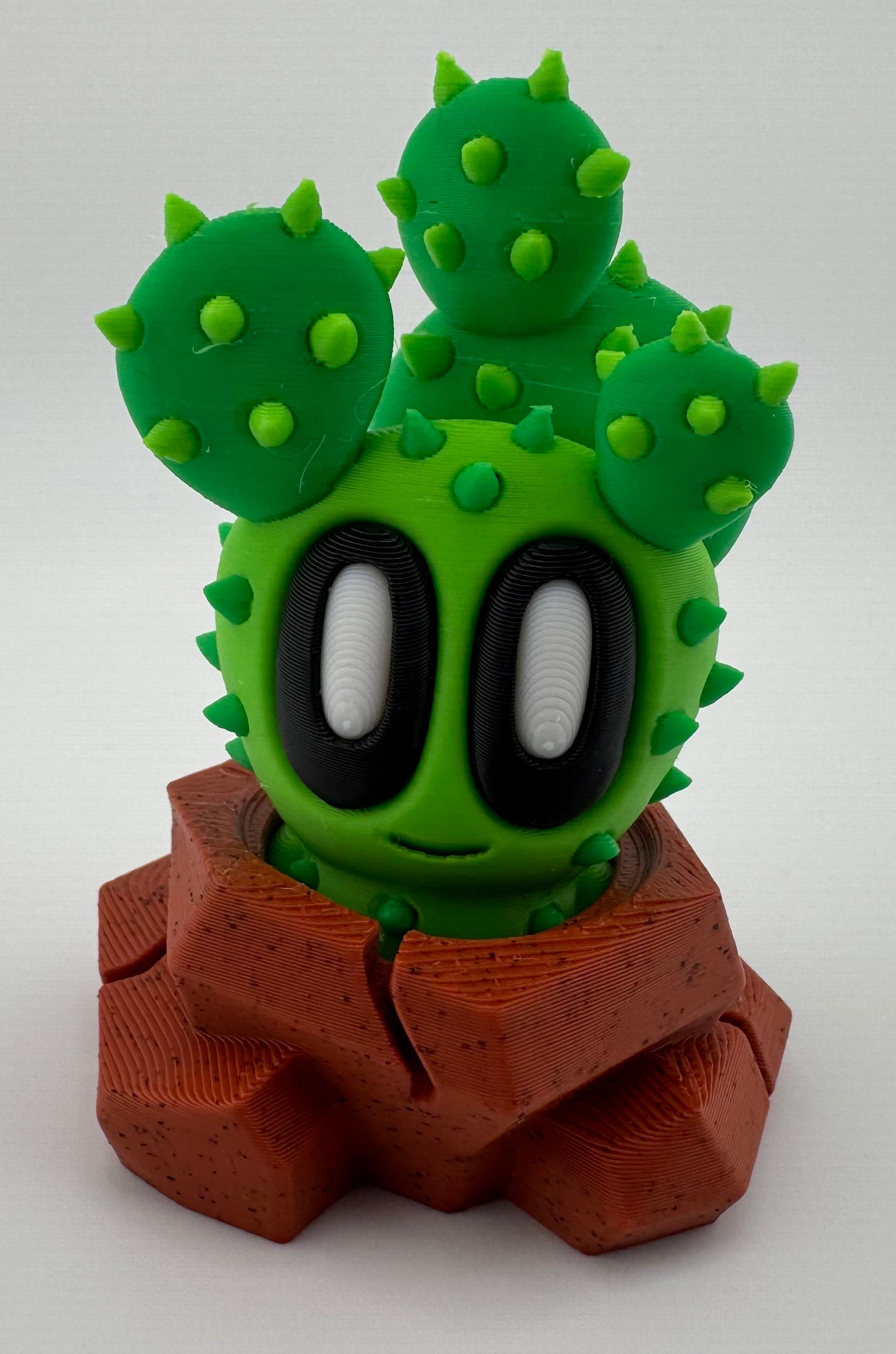 Blob Plant/Flower Desert Pot