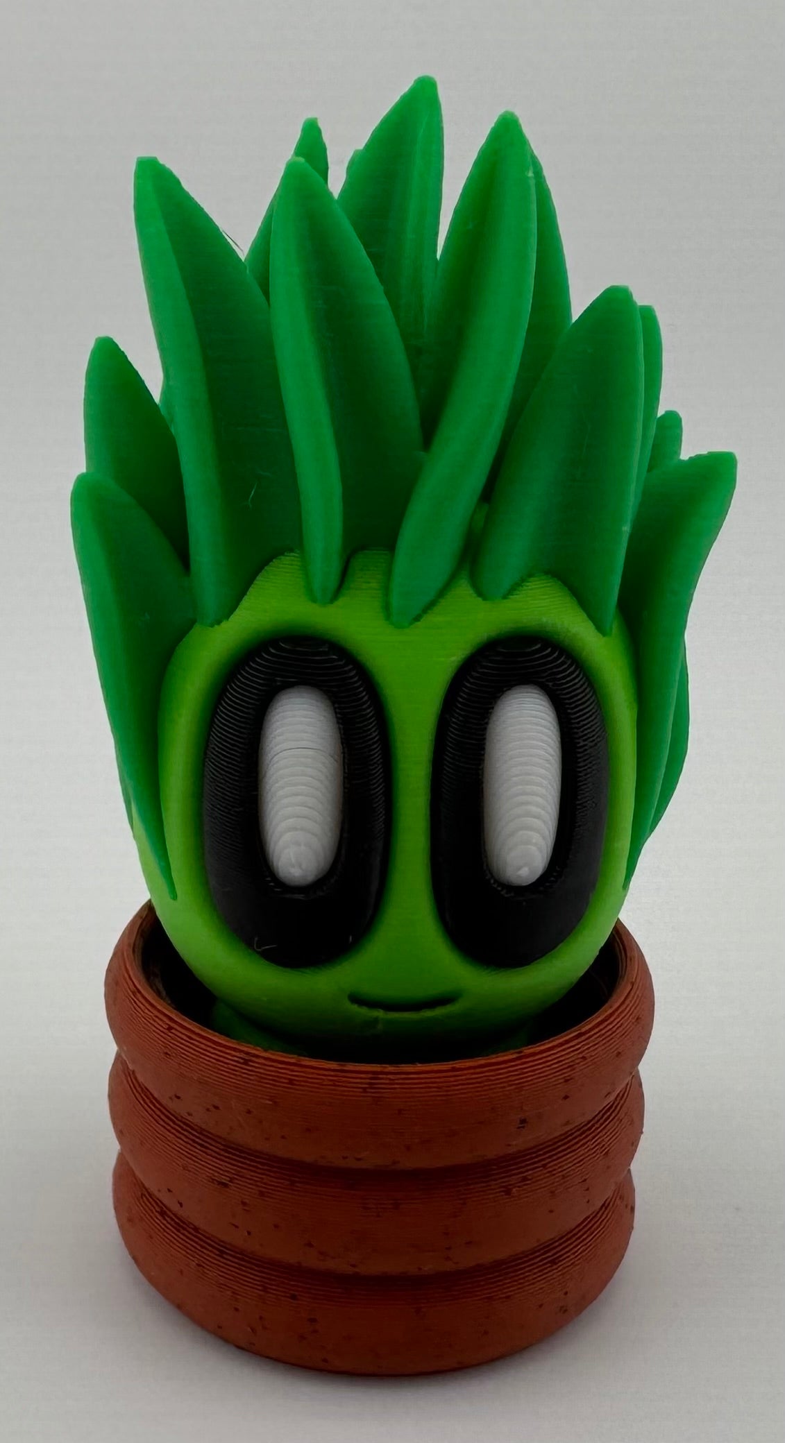 Blob Plant/Flower Modern Pot